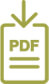 pdf icon
